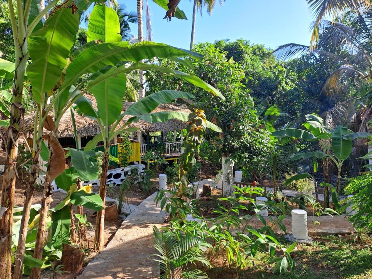 Le Chissioua Hotel Sada Exterior foto